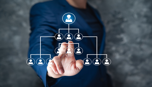 Align across the organization